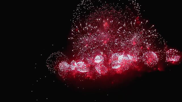 Vibrant crimson fireworks erupt over Central Park at night, illuminating the darkness with bursts of light and filling the air with a spectacle of color and wonder.