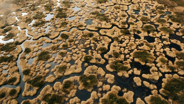 Aerial view of a sprawling wetland with intricate patterns of water.
