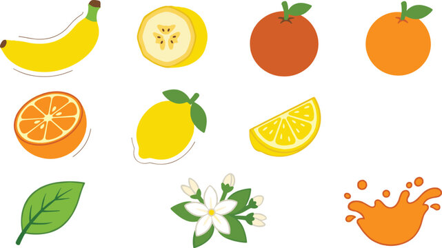 Fresh citrus fruit collection featuring banana oranges lemon slices leaves blossoms and juice splash colorful vector illustration set