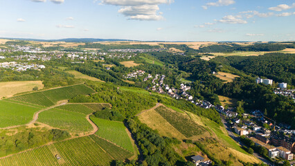 Fototapeta premium Vineyards, Trier cityscape, forest, meadows and agriculture fields, moselle valley, aerial view, summer landscape rhineland palatinate, Germany