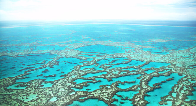 Aerial photo of Great Barrier Reef on a calm summers day, creating atmospheric scene.