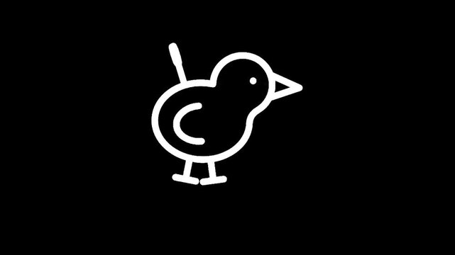 Simple white line drawing of a chick on a black background