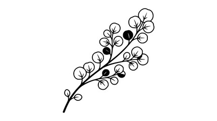 Minimalist black and white drawing of a eucalyptus branch with round leaves and berries on white background © illustration