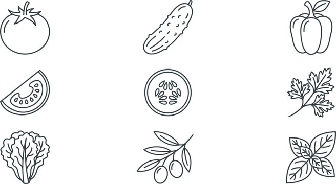 Hand drawn vegetable and herb outline icon set featuring tomato cucumber pepper parsley lettuce olives and mint vector collection