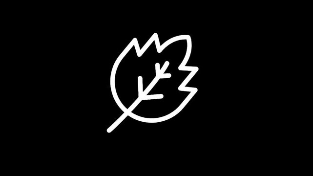 Simple white outline of a leaf on a black background, minimalist design