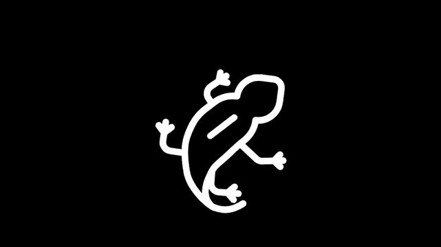 Simple white outline of a gecko on a black background, minimalist design