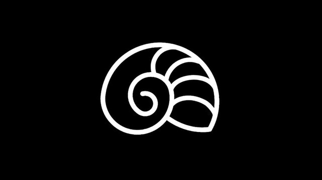 Minimalist white nautilus shell outline on a stark black background