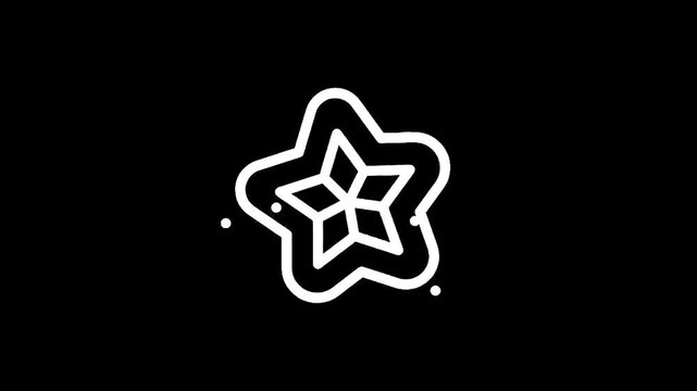 Stylized white star icon with geometric pattern on black background
