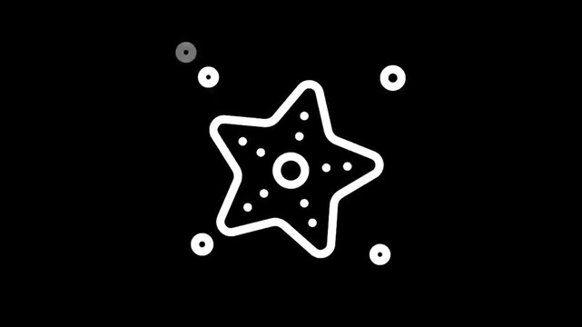 Simple white starfish icon on a black background, minimalist marine life symbol