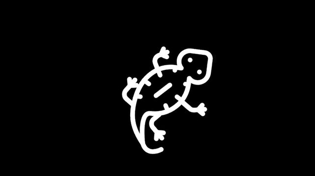 Simple white line drawing of a lizard on a black background