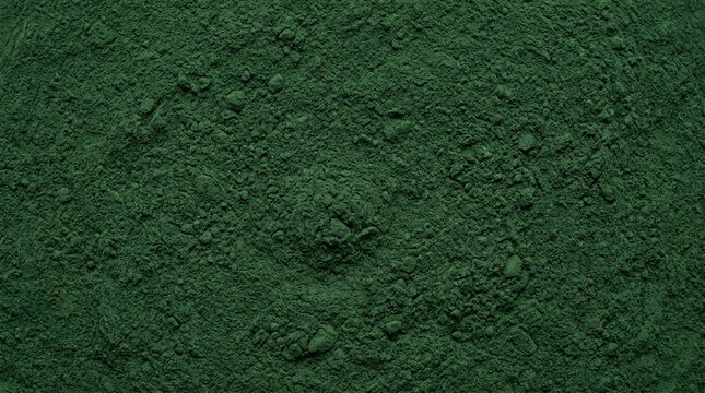 Macro texture of dense velvety dark green spirulina powder, organic
    microalgae superfood background.
