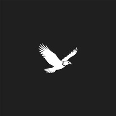 Fototapeta premium White eagle silhouette soaring on dark background