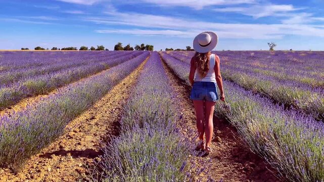 Woman with hat relaxing through blooming purple lavender field