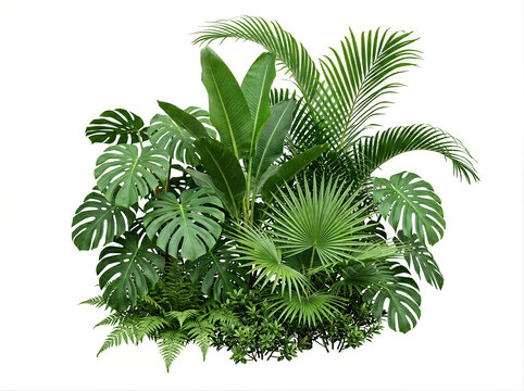 熱帯植物の緑の葉のブッシュ（モンステラ、ヤシ、ゴムの木、松、シマオオタニワタリ）。PNG、切り抜き、またはクリッピングパス。