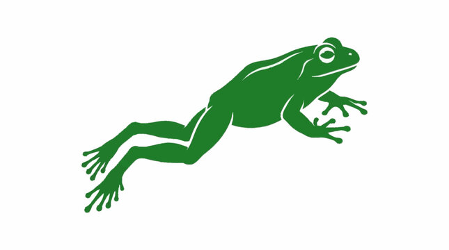 Green Frog Leaping MidAir Against White Background.