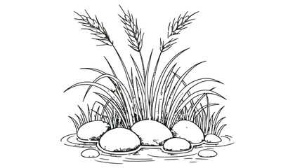 ink grass clumps with stones, reeds, rocks, and pebbles in detailed natural landscape vector illustration ©  