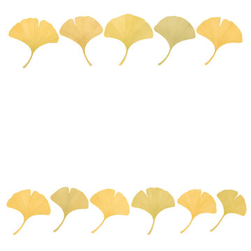 Autumn ginkgo leaves top and bottom border frame isolated on transparent background for graphic design. generated by AI.