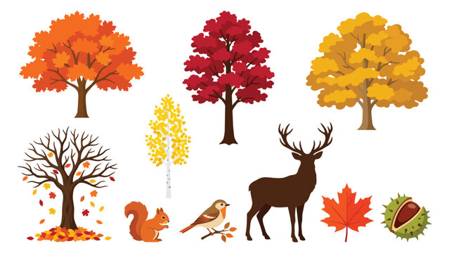 Set of autumn trees deer squirrel bird and colorful leaves for seasonal design collection