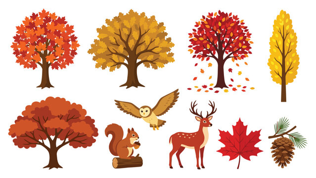 Set of colorful autumn trees with forest animals including a deer owl and squirrel and seasonal fall maple leaves and pine cone