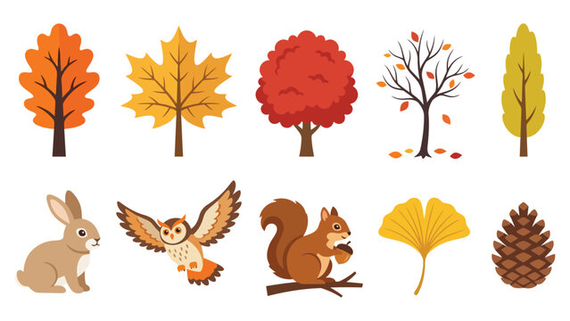 Set of autumn trees and forest animals including a squirrel owl and rabbit in flat vector style for fall season design elements