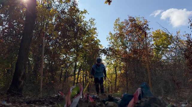 Mykolaiv, Ukraine &ndash; October 20, 2024 &ndash; A humanitarian deminer in protective gear sweeps a backlit autumn forest floor with a handheld mine detector during clearance operations