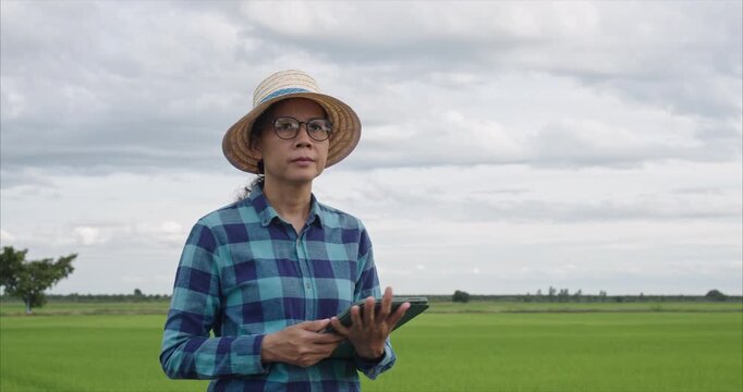 Asian Mature Female Farmer walking Checking Crop Quality in Agricultural Farm at Sunset, Smart Farming Concept, Tracking shot