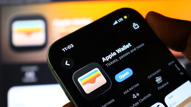 Apple wallet application interface shown on smartphone screen for digital payment usage.