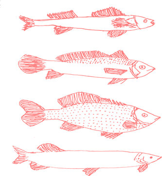 set of fishes hand drawn cute doodle vector illustration