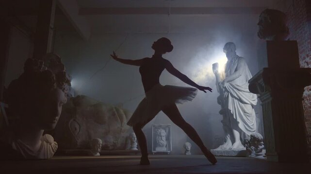 Enjoy life and express your talent, young ballerina dancing in ancient museum. Silhouette of graceful female ballet dancer in darkness, contrast of old statues and moving lady in tutu and pointe shoes
