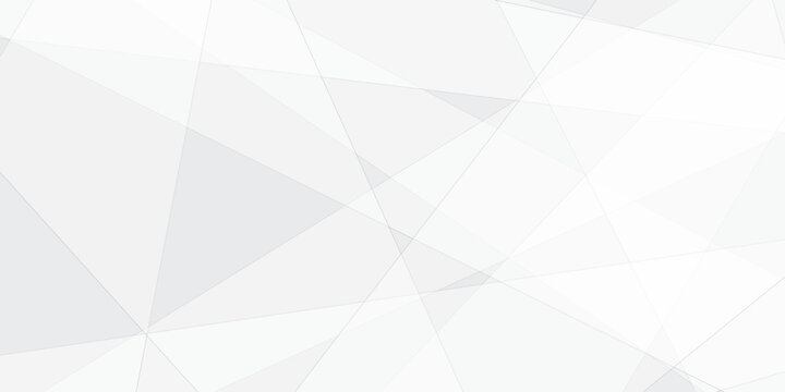 Abstract white and gray triangle geometric paper texture design this design are uses for style concept for banner, flyer, card, or brochure cover etc and quality full shape design .
