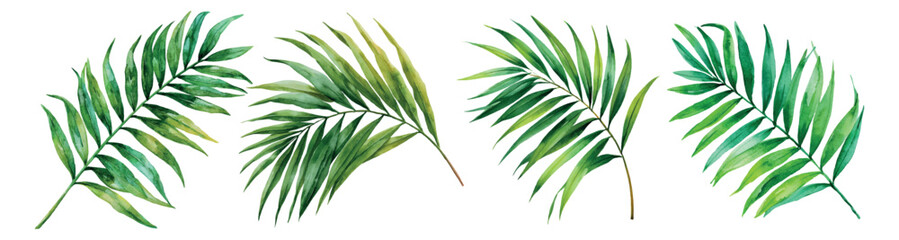 Watercolor palm fronds artfully painted, offering a collection of tropical leaves for botanical designs, summer themes, invitations, and natural backgrounds with vibrant green hues © Mari