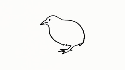 Fototapeta premium Minimalist Line Art Illustration of Cute Kiwi Bird