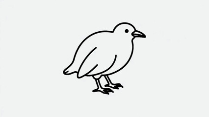 Fototapeta premium Minimalist Line Art Illustration of Cute Kiwi Bird