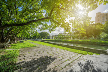 Fototapeta premium Qijiang Park in Zhongshan City, Guangdong Province, China: Sunny Summer Scenery Along the Riverbank
