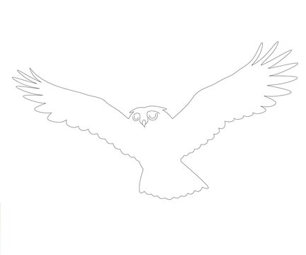 Flying owl bird outline vector,owl fly line drawing vector,owl birs fly linear image,owl bird fly outline outline image, flying owl bird line art illustration,owl flying line art drawing vector 