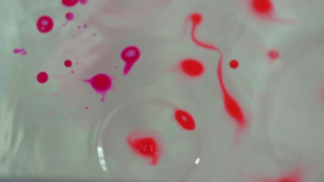red rose petals background