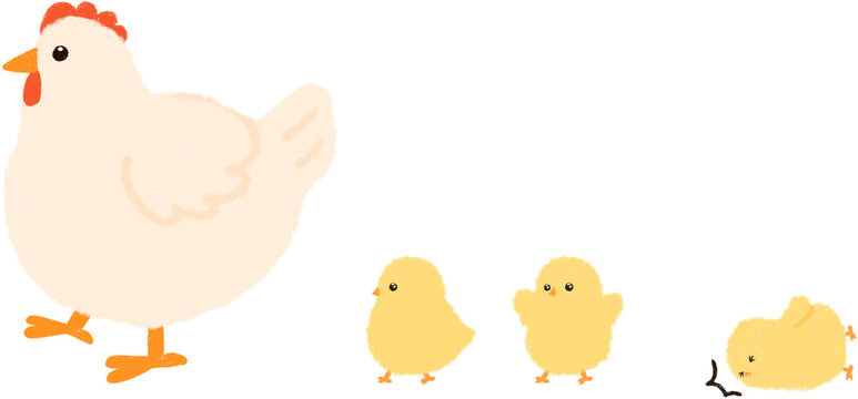 병아리