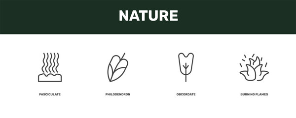 nature icon set with fasciculate, philodendron, obcordate, burning flames signs in flat outline style © Abstract