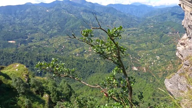 Epic Cliff Edge View Over Vast Himalayan Valley From Chauli Ki Jali Mukteshwar
