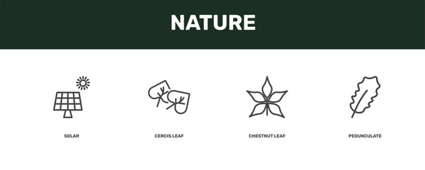 nature icon set with solar, cercis leaf, chestnut leaf, pedunculate signs in flat outline style © Abstract