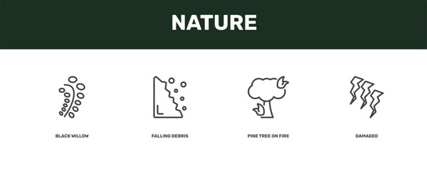 nature icon set with black willow, falling debris, pine tree on fire, damaged signs in flat outline style © Abstract