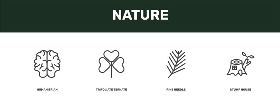 nature icon set with human brian, trifoliate ternate, pine needle, stump house signs in flat outline style