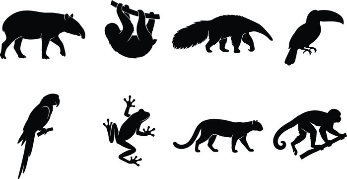Rainforest animal silhouettes including tapir sloth anteater toucan parrot frog jaguar and monkey