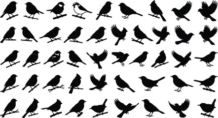 Collection of black bird silhouettes on white background, perched and flying © GR Graphics