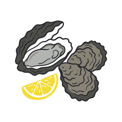 Fototapeta premium Hand drawn illustration of fresh oysters and a lemon wedge