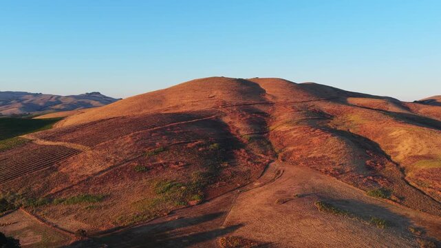 Aerial view across golden summer hills in warm evening light, with the valley floor and San Pablo Bay visible in the distance under a clear sky in Napa County, California.