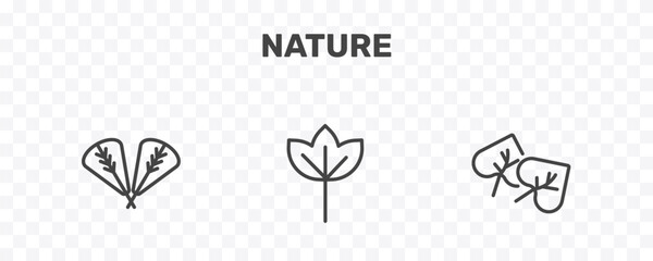 nature icon set with plum leaf, sassafras leaf, cercis leaf signs in flat outline style © Abstract
