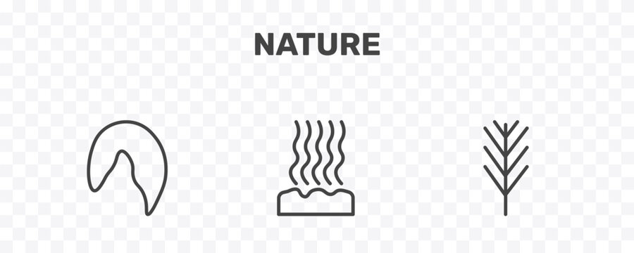 nature icon set with hair style, fasciculate, pine leaf signs in flat outline style