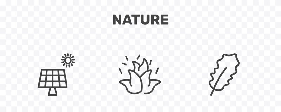 nature icon set with solar, burning flames, pedunculate signs in flat outline style