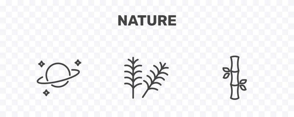nature icon set with planet with satellite, yew leaf, bamboo sticks signs in flat outline style © Abstract